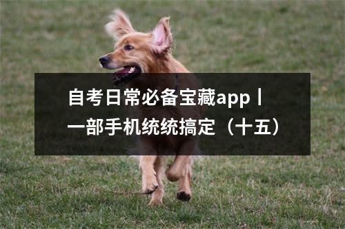 自考日常必备宝藏app丨一部手机统统搞定（十五）