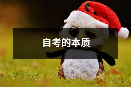 自考的本质