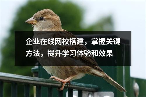 企业在线网校搭建，掌握关键方法，提升学习体验和效果