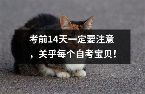 考前14天一定要注意，关乎每个自考宝贝！