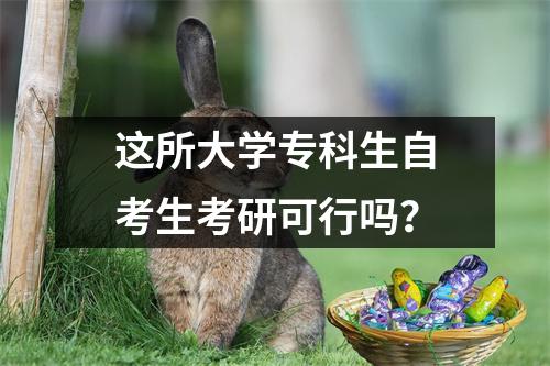这所大学专科生自考生考研可行吗？