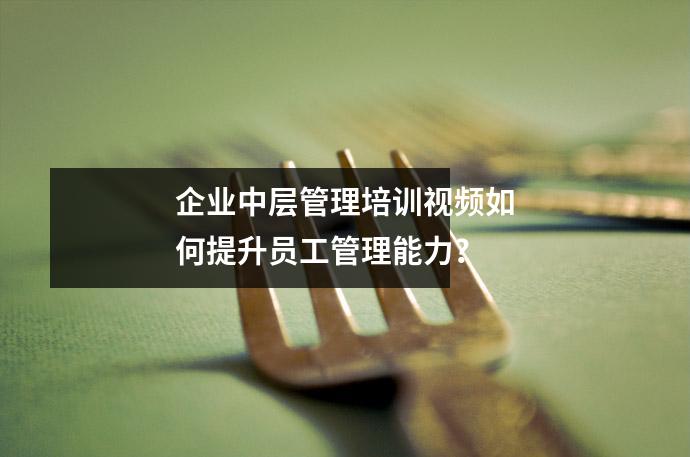 企业中层管理培训视频如何提升员工管理能力？