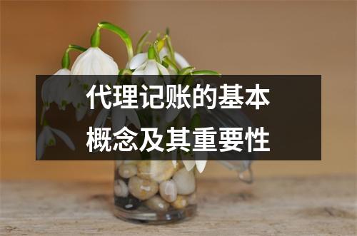 代理记账的基本概念及其重要性