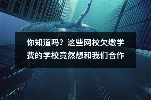 你知道吗？这些网校欠缴学费的学校竟然想和我们合作