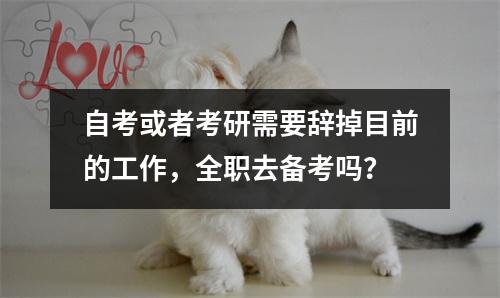 自考或者考研需要辞掉目前的工作，全职去备考吗？