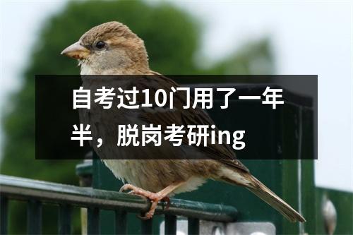 自考过10门用了一年半,脱岗考研ing