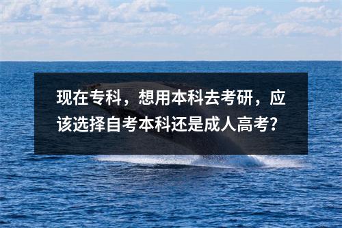 现在专科，想用本科去考研，应该选择自考本科还是成人高考？