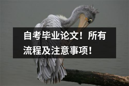 自考毕业论文！所有流程及注意事项！