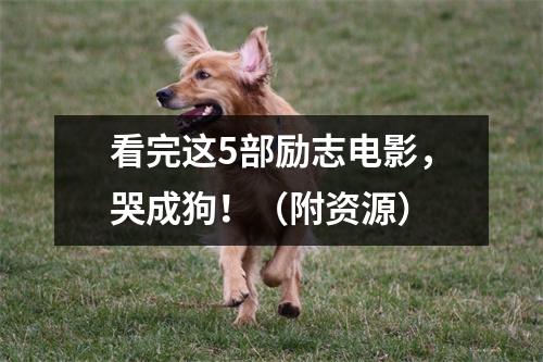 看完这5部励志电影，哭成狗！（附资源）