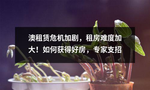 澳租赁危机加剧，租房难度加大！如何获得好房，专家支招