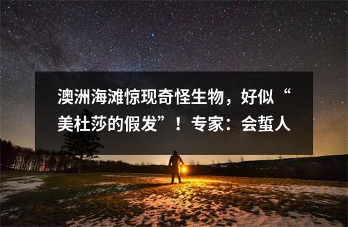 澳洲海滩惊现奇怪生物，好似“美杜莎的假发”！专家：会蜇人