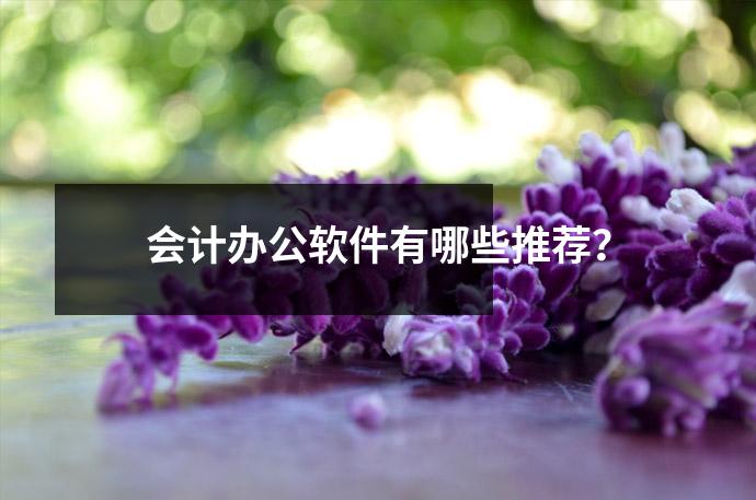 会计办公软件有哪些推荐?