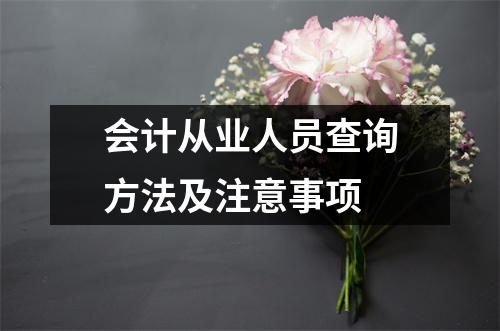 会计从业人员查询方法及注意事项