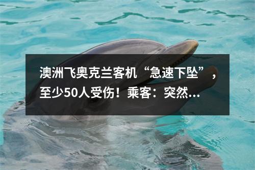澳洲飞奥克兰客机“急速下坠”，至少50人受伤！乘客：突然静止，随后急坠