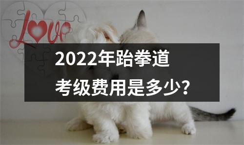 2022年跆拳道考级费用是多少？
