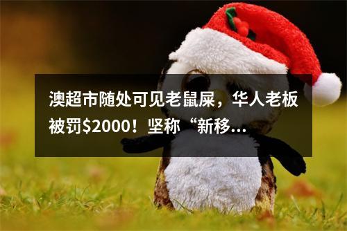 澳超市随处可见老鼠屎，华人老板被罚$2000！坚称“新移民”不了解情况