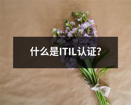 什么是ITIL认证？