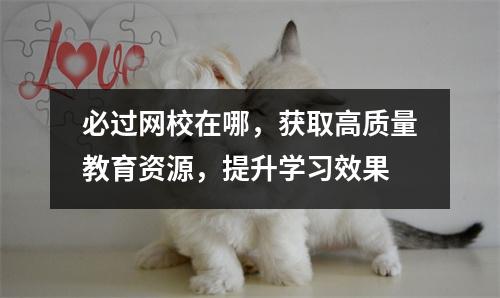 必过网校在哪,获取高质量教育资源,提升学习效果