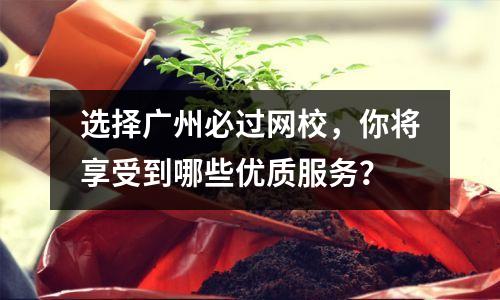 选择广州必过网校，你将享受到哪些优质服务？