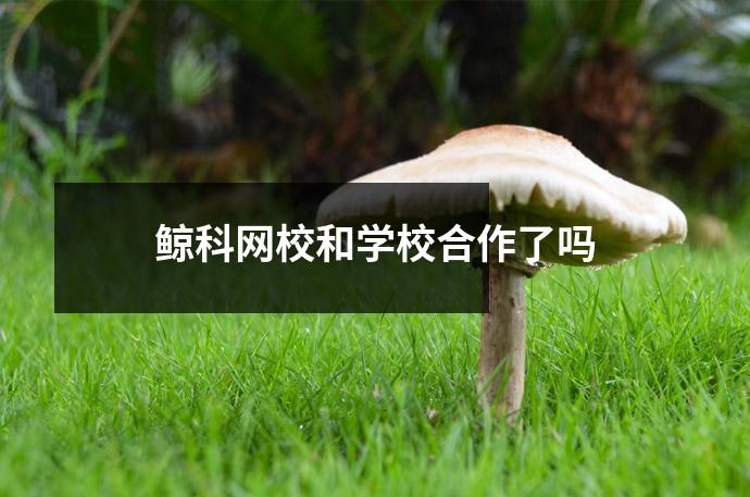 鲸科网校和学校合作了吗