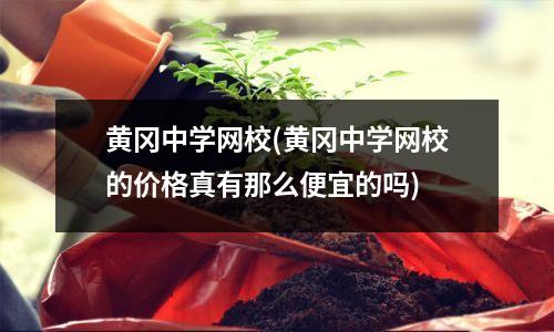 黄冈中学网校(黄冈中学网校的价格真有那么便宜的吗)