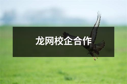 龙网校企合作