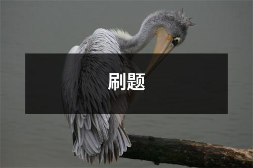 刷题