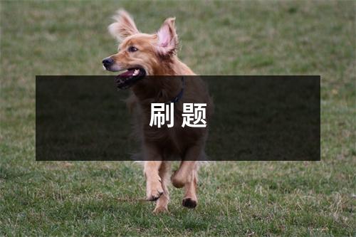 刷 题