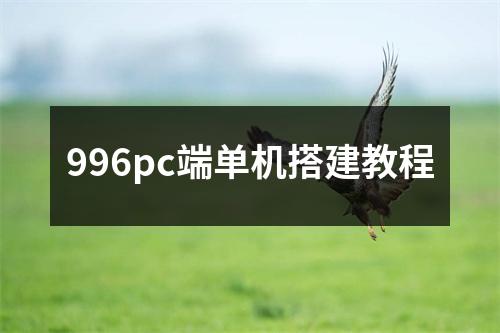 996pc端单机搭建教程