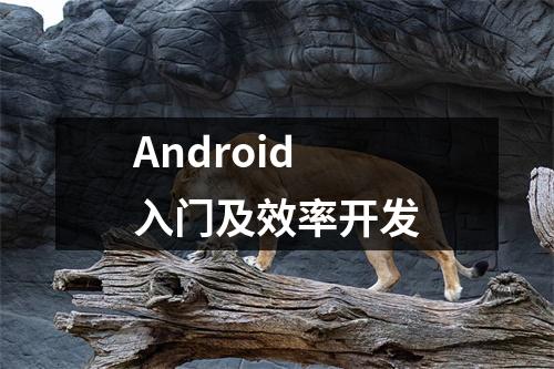 Android入门及效率开发