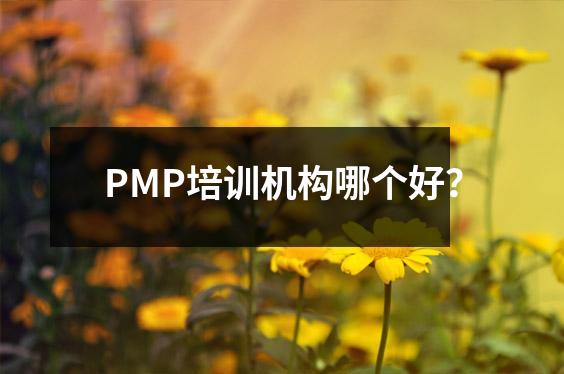 PMP培训机构哪个好？