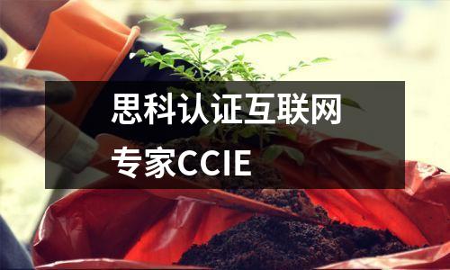 思科认证互联网专家CCIE