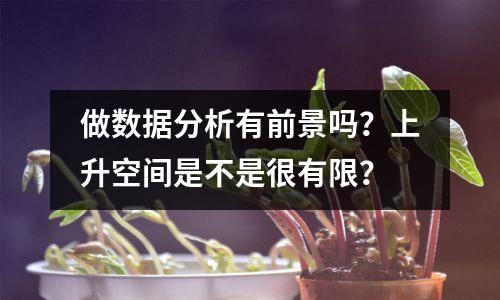 做数据分析有前景吗?上升空间是不是很有限?