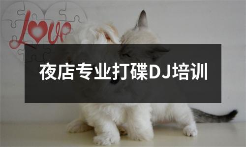 夜店专业打碟DJ培训