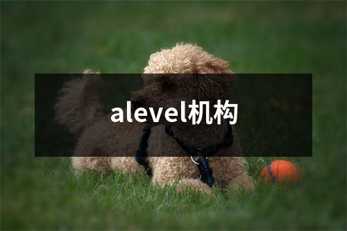 alevel机构