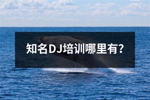 知名DJ培训哪里有?