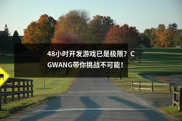 48小时开发游戏已是极限?CGWANG带你挑战不可能!