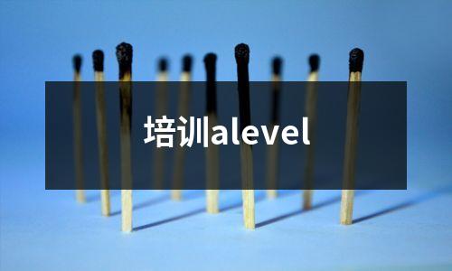 培训alevel