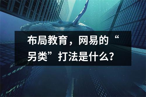 布局教育,网易的“另类”打法是什么?