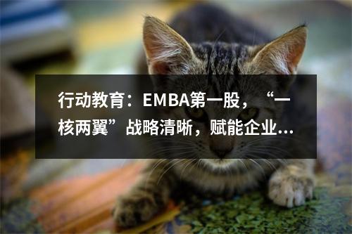 行动教育：EMBA第一股，“一核两翼”战略清晰，赋能企业成就未来