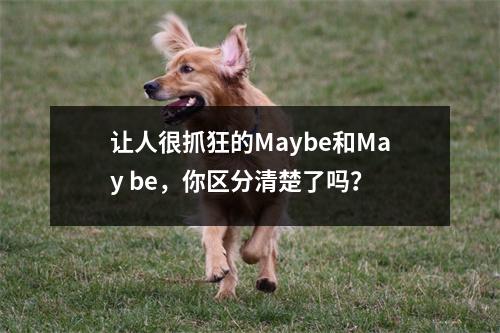 让人很抓狂的Maybe和May be,你区分清楚了吗?