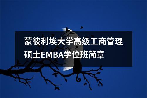 蒙彼利埃大学高级工商管理硕士EMBA学位班简章