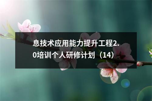 息技术应用能力提升工程2.0培训个人研修计划（14）