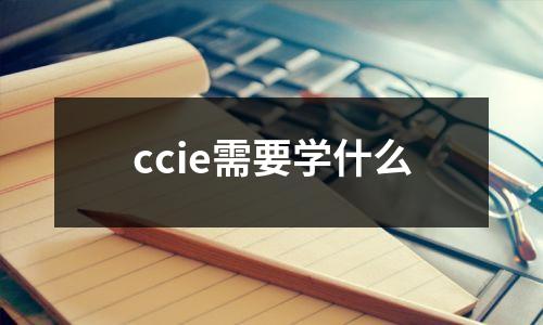 ccie需要学什么