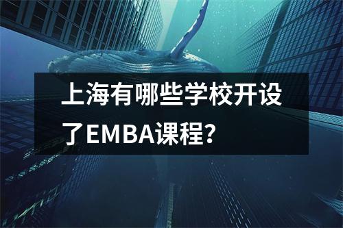 上海有哪些学校开设了EMBA课程?