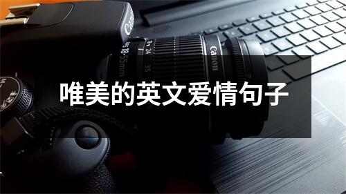 唯美的英文爱情句子