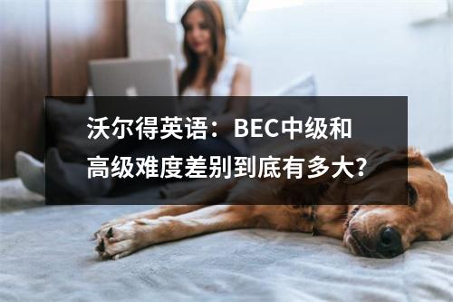 沃尔得英语:BEC中级和高级难度差别到底有多大?