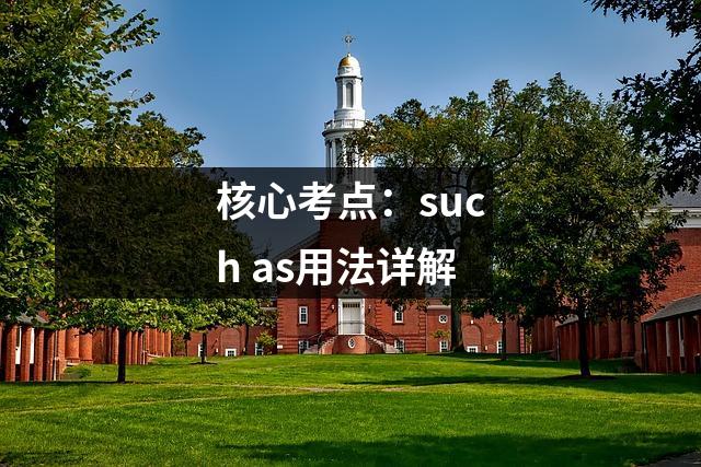 核心考点:such as用法详解