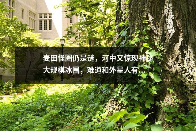 麦田怪圈仍是谜,河中又惊现神秘大规模冰圈,难道和外星人有关