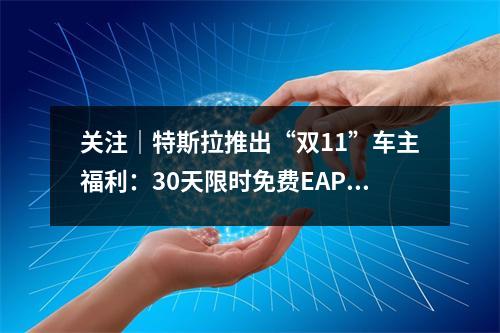关注｜特斯拉推出“双11”车主福利：30天限时免费EAP试用权